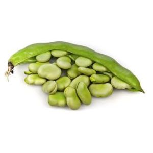 Fava Beans - Fresh