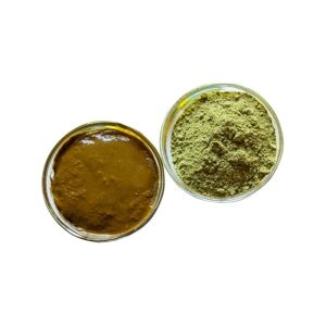 100% Pure/Organic/NGMO Premium Henna Powder - Khorasan