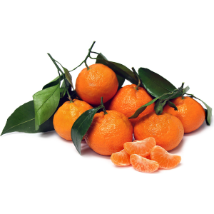 Satsuma Mandarines - "نارنگی ایرانی"