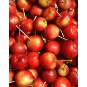Organic Cherry Apples 