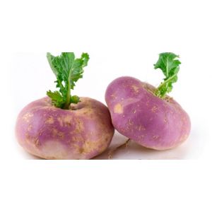 Organic Purple Top Turnips - "شلغم"