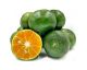 Fresh 1 lb. Green Tangerines نارنگی سبز ایرانی