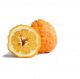 Seville Orange Naranj نارنج