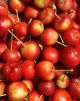 Organic Baby Lady Apples - 